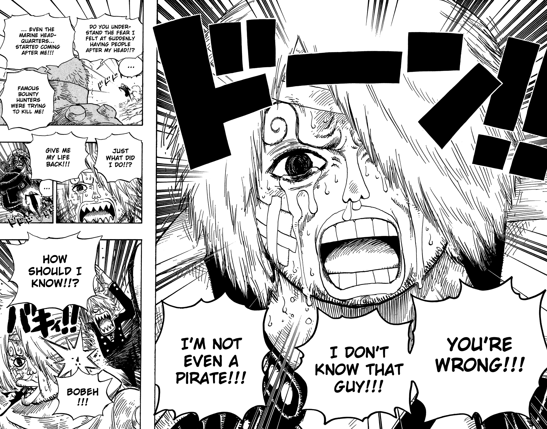 One Piece, Chapter 494 image 18